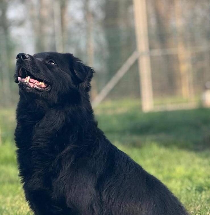Boris