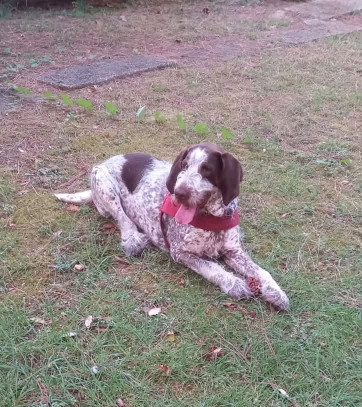 Bella
